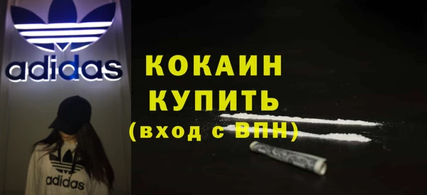 стаф Горняк