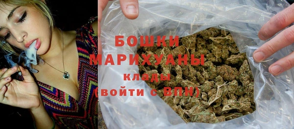 стаф Горняк