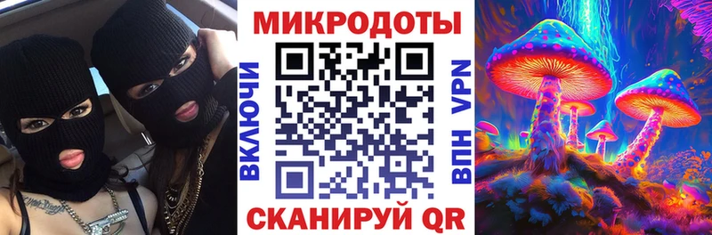 где найти наркотики  Дедовск  Галлюциногенные грибы Psilocybine cubensis 